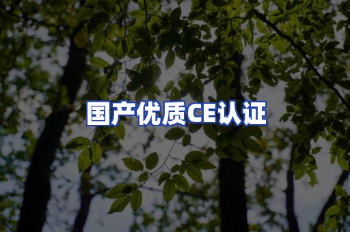 国产优质CE认证